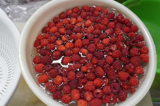 Raspberry washing 01, JPG