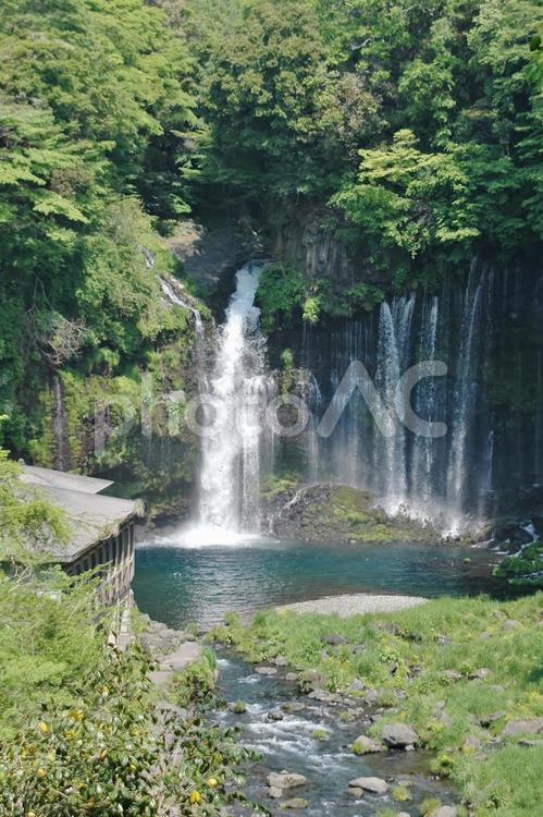 <静岡県>昔の白糸の滝 白糸の滝,滝,お土産屋の写真素材