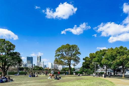 初春の陽射しの下でくつろぐ山下公園の人々 初春の陽射しの下でくつろぐ山下公園の人々 木,芝,公園の写真素材