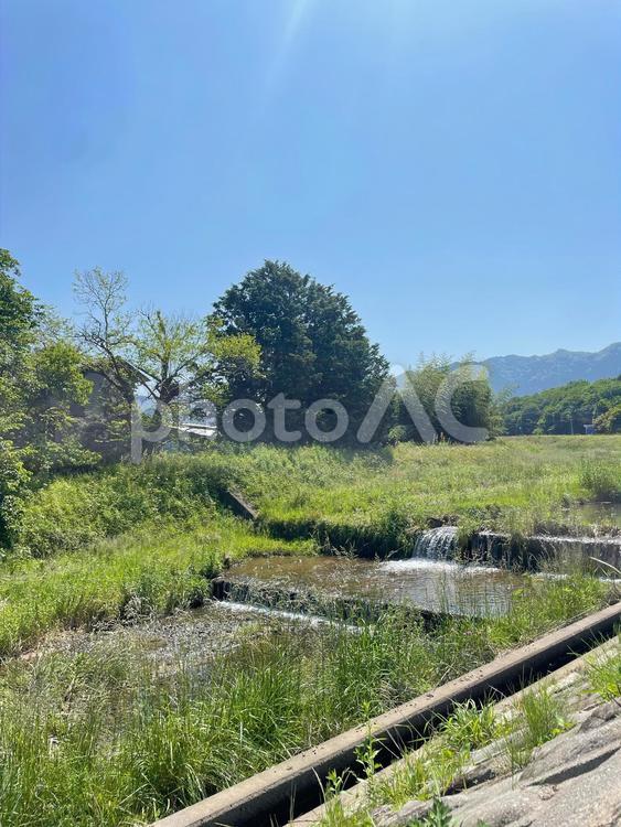 光差し込む大自然 自然,川,緑の写真素材