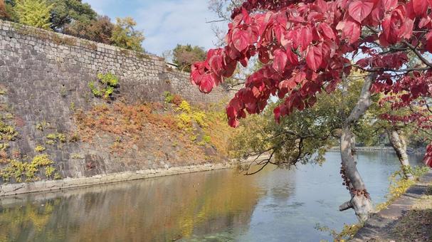 大阪城と空と堀 紅葉,赤,池の写真素材