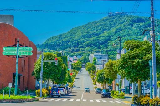 函館の八幡坂と緑の山 函館の八幡坂と緑の山 函館,八幡坂,坂道の写真素材