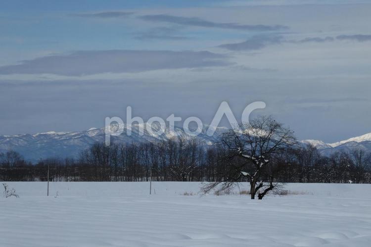 山形県米沢市の風景 雪,山,冬の写真素材
