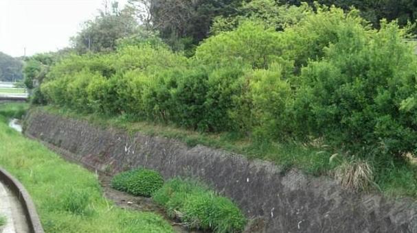 countryside, la campagna, naturalmente, scenario, JPG