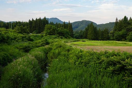 里の風景⑷ 里の風景⑷ 木,川,草の写真素材