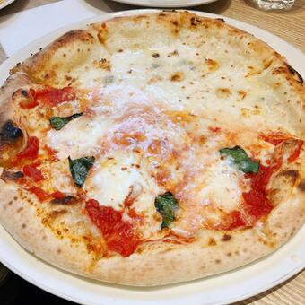 マルゲリータとクワトロファルマッジ マルゲリータ,クワトロフォルマッジ,ピザの写真素材