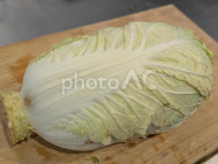まな板のうえの白菜 野菜,はくさい,まな板の写真素材