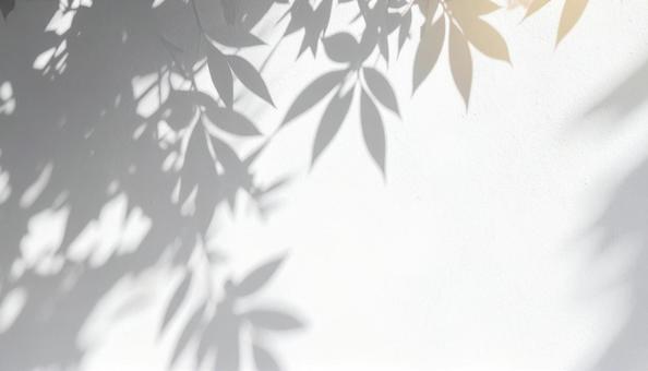 木々の影の背景 白壁1 木々の影の背景 白壁1の写真