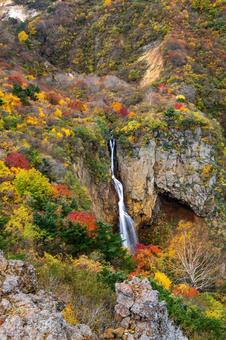 蔵王の紅葉⒄ 蔵王,紅葉,秋の写真素材