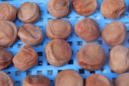 梅の土用干しの写真