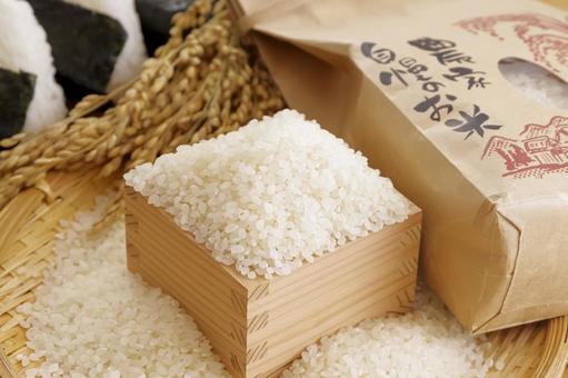 日本の主食お米と美味しそうなおにぎり 米,白米,新米の写真素材