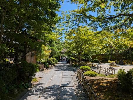 円通院 円通院 松島,松島海岸,円通院の写真素材