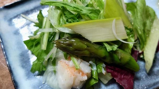 アスパラガスのサラダ アスパラガスのサラダ,アスパラ,アスパラガスの写真素材