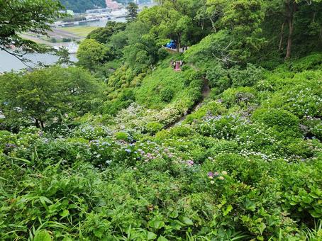 風景 風景の写真