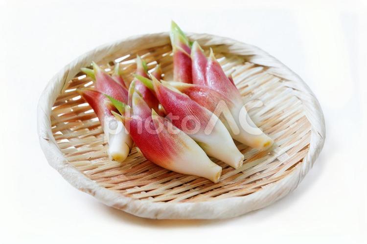みょうが（カゴ入り） みょうが,茗荷,カゴの写真素材