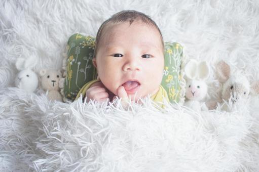 赤ちゃん・黄色いお包み7 赤ちゃん・黄色いお包み7 赤ちゃん,お包み,お包の写真素材