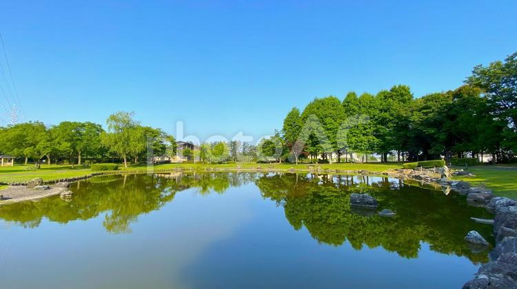 朝の北部公園（金沢市）：21 公園,春,夏の写真素材