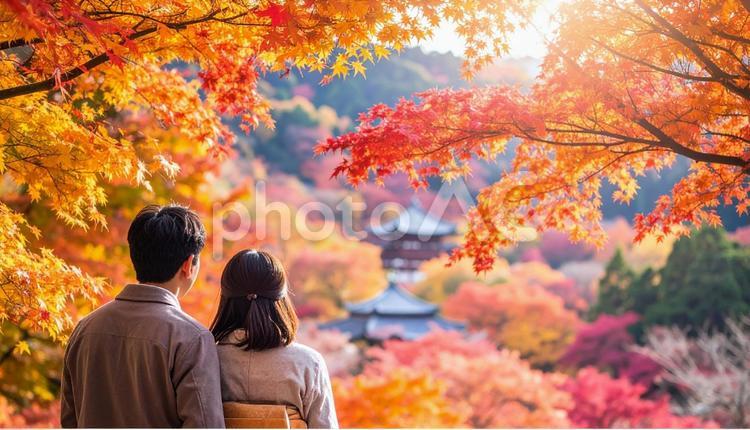 美しい紅葉を眺める夫婦の後ろ姿 紅葉,眺める,夫婦の写真素材
