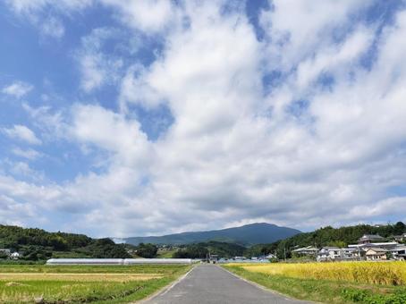 秋晴れの田舎道 秋晴れの田舎道の写真