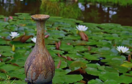 睡蓮の花咲く池にて 睡蓮の花咲く池にての写真