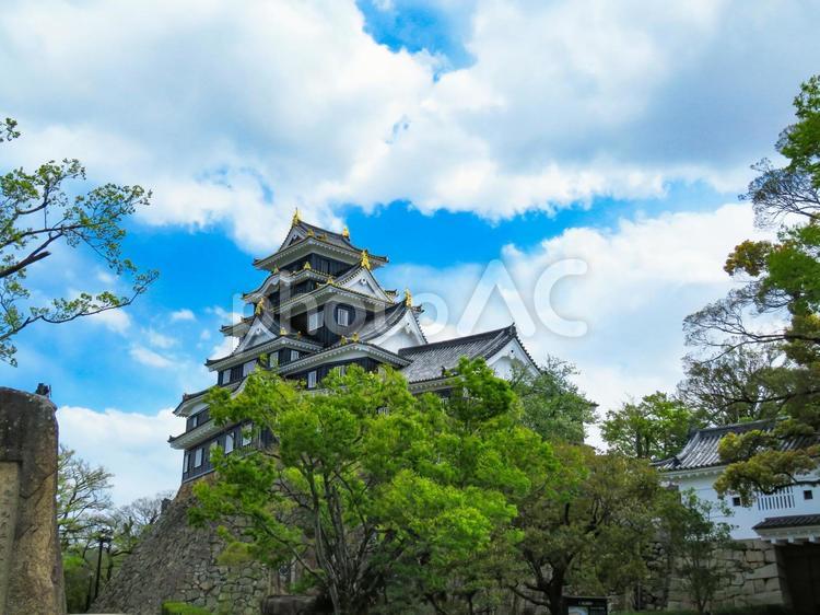 樹木の向こうにそびえる岡山城の天守閣 岡山城,城,天守閣の写真素材