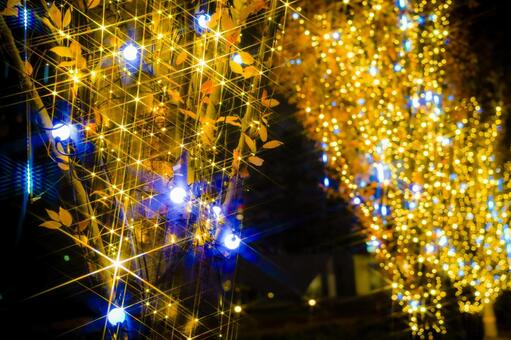 青と金のイルミネーション イルミネーション,光,青色ライトの写真素材