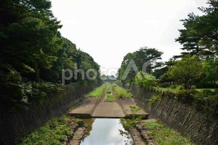 美しい緑のある風景 日本,屋外,風景の写真素材