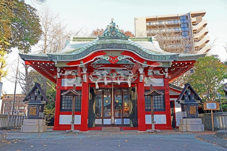 河原町稲荷神社（足立） 河原町稲荷神社,鎮守,倉稲魂命の写真素材