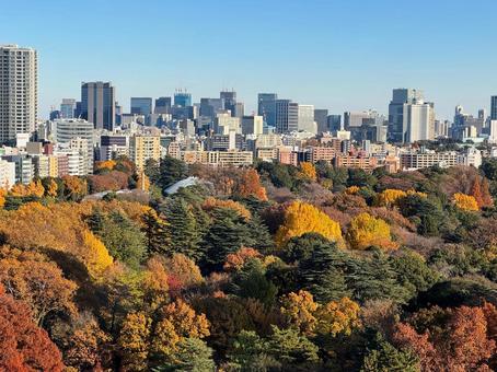 ニュウマン新宿から四谷方面の景色 ニュウマン新宿から四谷方面の景色 新宿,高層ビル,新宿御苑の写真素材