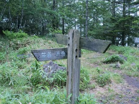 赤岳 真教寺尾根の登山道 赤岳 真教寺尾根の登山道 赤岳,八ヶ岳,真教寺尾根の写真素材