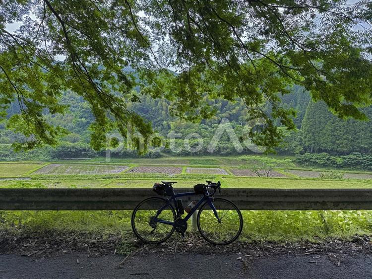 田舎道（嘉例川表木山の風景） 田舎道,田園,田畑の写真素材