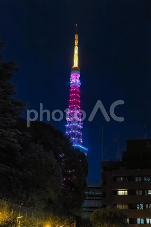 レインボーに輝く東京タワーの夜景 東京タワー,夜景,ライトアップの写真素材