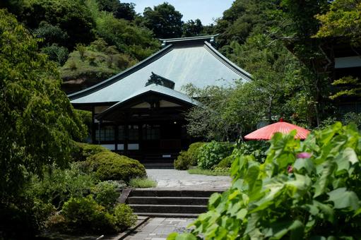 ［神奈川県鎌倉市］海蔵寺｜花の寺 鎌倉,海蔵寺,花の寺の写真素材