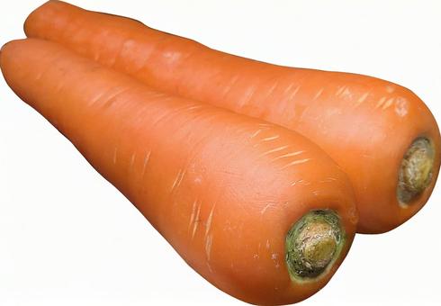 人参-09 人参-09 人参,野菜,食べ物の写真素材