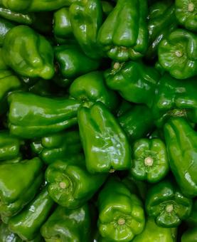 ピーマンの写真