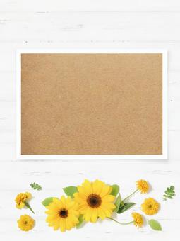 Photo template decorated with sunflower flowers, JPG Photo template decorated with sunflower flowers, JPG
