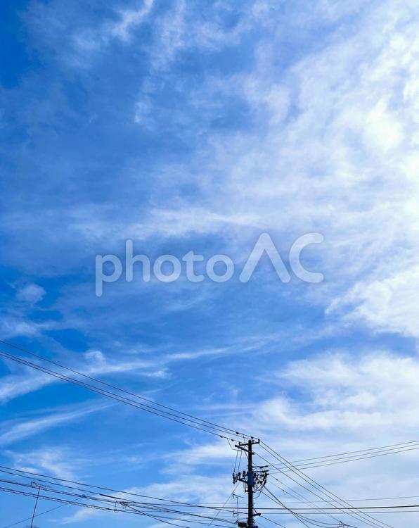 見上げれば青空と電柱のある風景 青空,空,青の写真素材