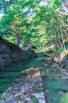 百済寺の参道 百済寺の参道 百済寺,寺,滋賀の写真素材