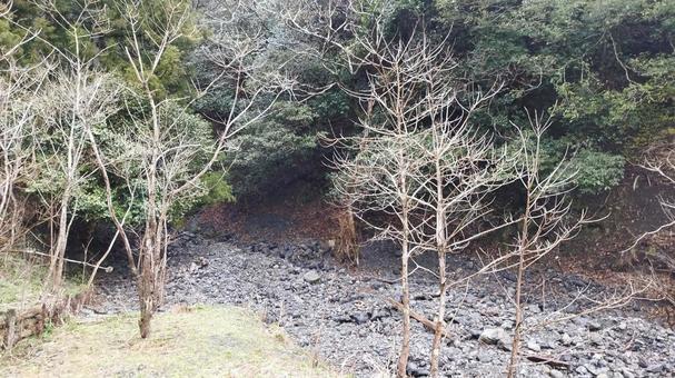 山 山の写真