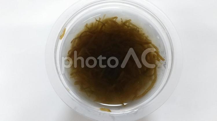 もずくの酢の物 酢の物,もずく,海藻の写真素材