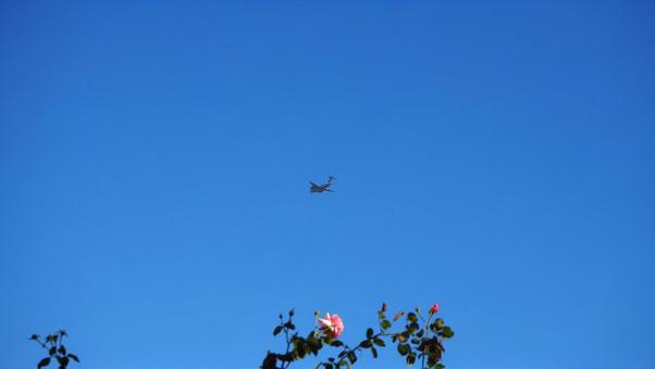 Blue sky Autumn sky Airplane seen from the rose garden Chikozan Park Sayama City Blue sky Autumn sky Airplane seen from the rose garden Chikozan Park Sayama City