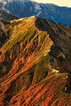 紅葉の北アルプスの唐松岳へ続く稜線 紅葉の北アルプスの唐松岳へ続く稜線 紅葉,秋,朝焼けの写真素材