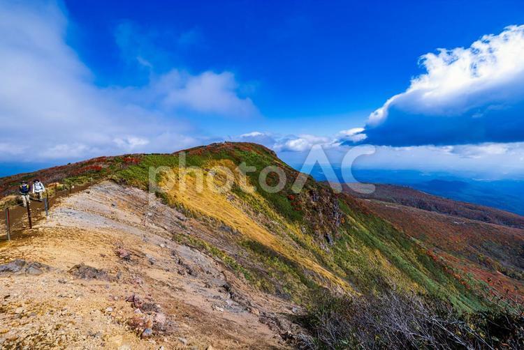 秋色に染まる　栗駒山の絶景 山,秋,紅葉の写真素材