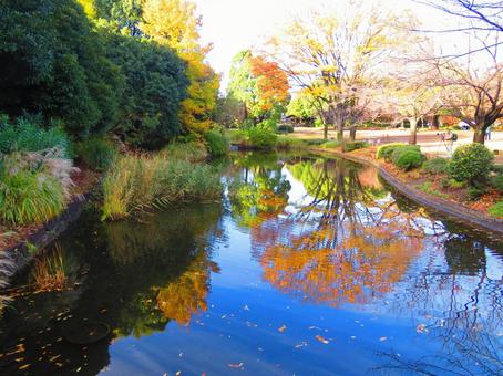 北丸公園にある池の写真
