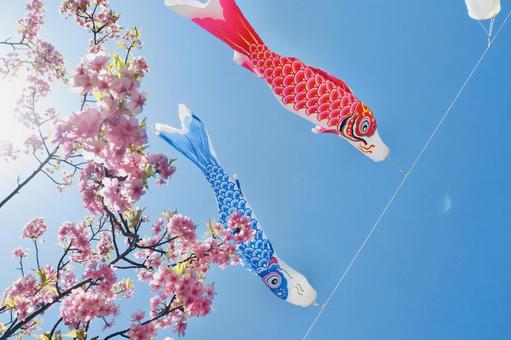 Carp streamer Children's Day image, JPG Carp streamer Children's Day image, carp streamer, blue sky, cherry blossoms, JPG