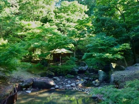 六義園の滝見茶屋 六義園の滝見茶屋の写真