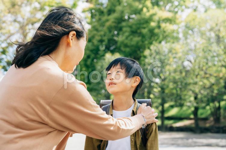 母親に愛される男の子 子育て,子供,褒めるの写真素材
