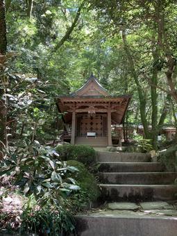 祠 祠の写真