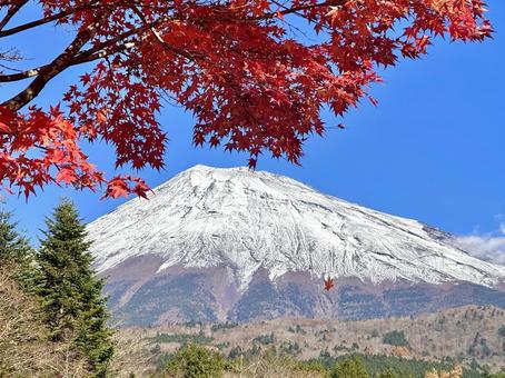 富士山と紅葉 富士山,紅葉,秋の写真素材