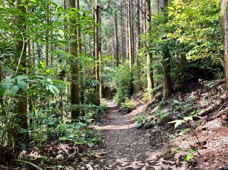 Tobosan Mountain Trail 2, JPG